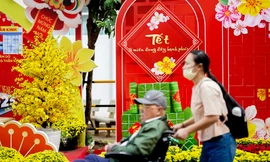 Bệnh nhân ngồi xe lăn ngắm đường hoa đặc biệt trong bệnh viện ngày giáp Tết