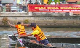 Sôi nổi đua xuồng ba lá ở Long An