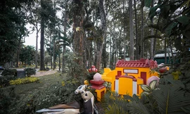 Khu mộ cổ ở giữa trung tâm TPHCM