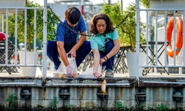 Người dân đi thả cá đưa ông Táo về trời