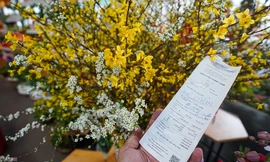 Người dân TPHCM chi tiền triệu cho những chậu hoa nhập khẩu