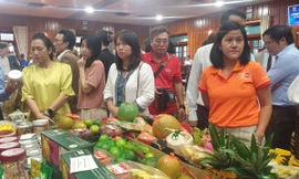 Lý do Long An ì ạch xuất khẩu