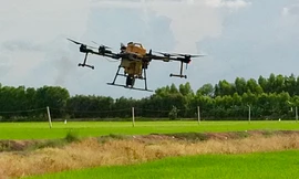 Khoảng 76.000 khách hàng ở Long An mất điện vì máy bay phun thuốc