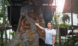 Mục sở thị khối gỗ lũa điêu khắc cao 4m sắp 'trình làng' dịp Tết