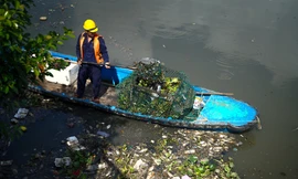 Dọn cá chết nổi trắng trên kênh Nhiêu Lộc