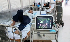 Vô tình chạm trúng tổ, đàn ong bay ra vây kín đầu, đốt hơn 20 mũi