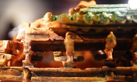 Nhiều bảo vật quốc gia Hoàng thành Thăng Long xuất hiện ở TPHCM