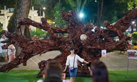 Ba khối 'Cửu Long Tranh Châu' làm từ rễ cây khô nguyên khối ở TPHCM