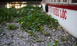 Cảnh tượng hãi hùng bao trùm kênh Nhiêu Lộc – Thị Nghè