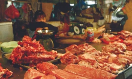 Người nuôi heo điêu đứng