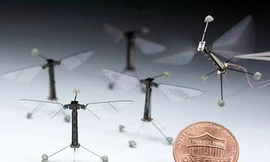 Rô bốt ong nhỏ nhất thế giới lần đầu cất cánh