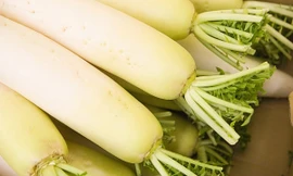 Nắng nóng chữa nhiệt miệng bằng củ cải