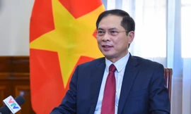 Bộ trưởng Ngoại giao Bùi Thanh Sơn. (Ảnh: Mofa)