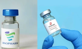 Hình ảnh vắc-xin COVID-19 của Sinovac và Sinopharm. (Ảnh: Gavi)