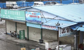 Kế hoạch điều tra giai đoạn hai đòi hỏi khảo sát chợ đầu mối Hoa Nam. (Ảnh: Reuters)