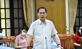 Bộ trưởng Ngoại giao Bùi Thanh Sơn phát biểu tại cuộc họp của Tổ công tác. (Ảnh: Mofa)