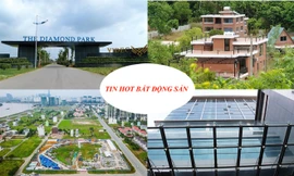 Đấu giá cao ốc xây thời Trịnh Xuân Thanh, TPHCM 'trảm' 180 dự án treo