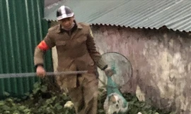 Ông Bình và con chó thả rông mới bắt được.