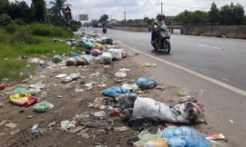 Nhiều đống rác thải nằm trên tuyến quốc lộ 1A thuộc địa bàn huyện Tư Nghĩa. Rác vương vãi khắp nơi lại gặp thời tiết mưa nắng thất thường nên phân hủy mạnh bốc mùi hôi thối.