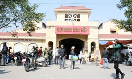 Phó Thủ tướng yêu cầu Hà Nội giải quyết khiếu nại liên quan đến một số dự án tại xã Ninh Hiệp, huyện Gia Lâm.