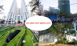 Nhà mọc giữa đường đòi bồi thường 10 tỷ