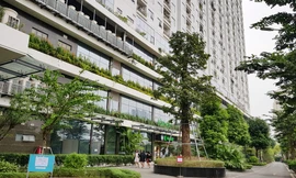 Cần có người 'cầm trịch' để phát triển đô thị xanh