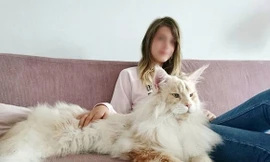 Choáng váng chú mèo khổng lồ to gần bằng người