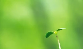 Cái đáng hưởng nhất lại bí mật nhất!