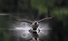 Triển lãm Cuộc thi Ảnh nghệ thuật quốc tế lần thứ 7