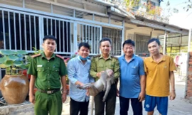 Bắt con khỉ ‘đại náo’ khu dân cư, cắn chết chó ở TPHCM 