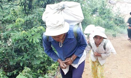 Hàng trăm thôn nữ làm cửu vạn bãi vàng