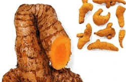 Bôi nghệ lên vết thương không đúng cách gây độc