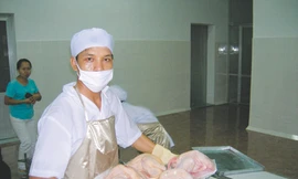 Chỉ có thể quảng cáo là thịt, sữa an toàn chứ không có thực phẩm sạch hoàn toàn Ảnh: H.N