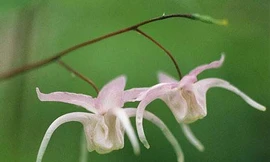 Tuần của bạn (từ 24-10 đến 30-10)