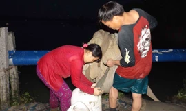 Trôi theo dòng nước