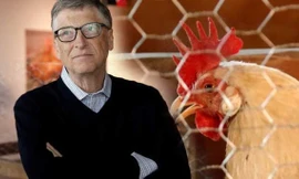 Bill Gates tặng gà cho dân nghèo châu Phi