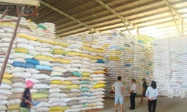 Trung Quốc kiểm tra 31 doanh nghiệp xuất khẩu gạo Việt Nam