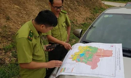 Sau khi Tiền Phong phản ánh, phía hạt kiểm lâm Ðông Triều dùng máy định vị để xác định lại diện tích rừng phòng hộ bị tàn phá.