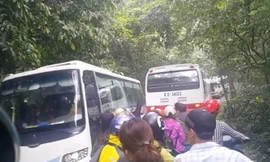 Sẽ dùng xe điện, xe gas vào vùng lõi VQG Cúc Phương