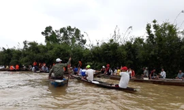 Lực lượng chức năng và cả làng Vinh Quang nỗ lực tìm kiếm nữ sinh mất tích.