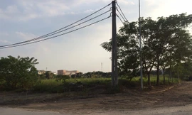 Các khu đất xây dựng khu nhà ở giãn dân phố cổ cỏ mọc um tùm chưa biết bao giờ có nhà. Ảnh: Tú Anh