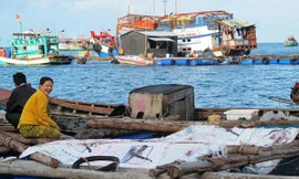 Làng cá lồng bè đảo Hòn Chuối.