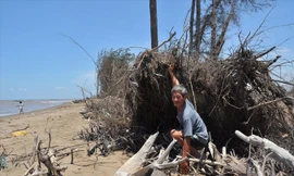 Sạt lở ở ven biển Trà Vinh. Ảnh: Hòa Hội.