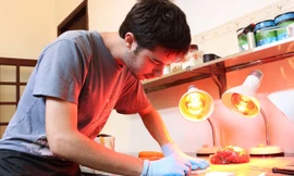 Victor tỉ mẩn làm từng viên kẹo. Ảnh: Tiên Lê