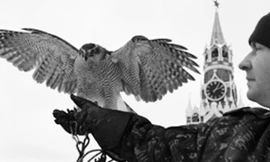Diều hâu tham gia bảo vệ Kremli.