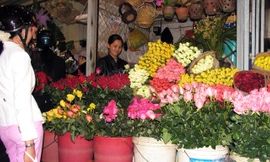 Hoa hồng Đà Lạt chủ yếu tiêu thụ nội địa.
