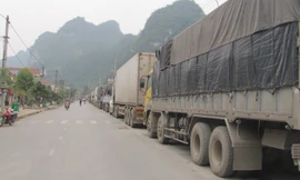 Xe chở hoa quả nằm chờ đến khu vực cửa khẩu Tân Thanh. Ảnh: Duy Chiến