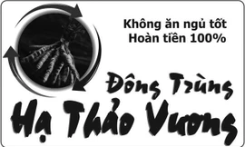 Mệt mỏi và Đông trùng Hạ Thảo Vương để ngủ tốt, ăn tốt