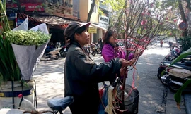 Đào được rao bán trên phố cổ Hà Nội (ảnh chụp sáng 29/1 trên phố Hàng nón). Ảnh: Ngọc Châu