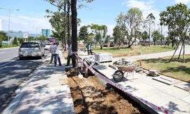 Đà Nẵng kiểm tra chất lượng lát đá vỉa hè phục vụ APEC